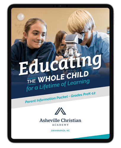 d9f2589c-pip-landing-pages-ipad-preview_10j20ne0j20nc000000028